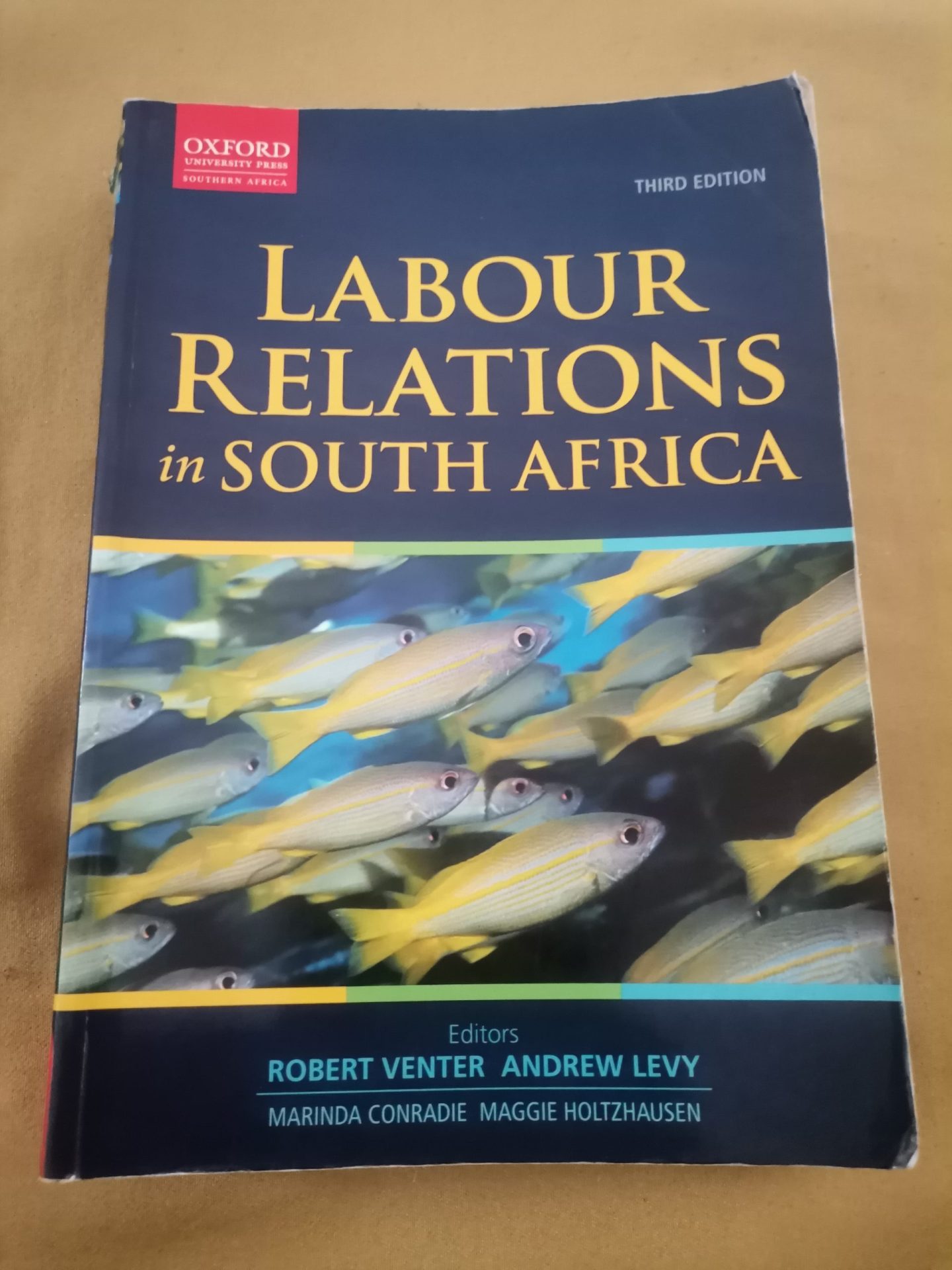 IMG_20240612_091255 Labour relations in south africa third edition