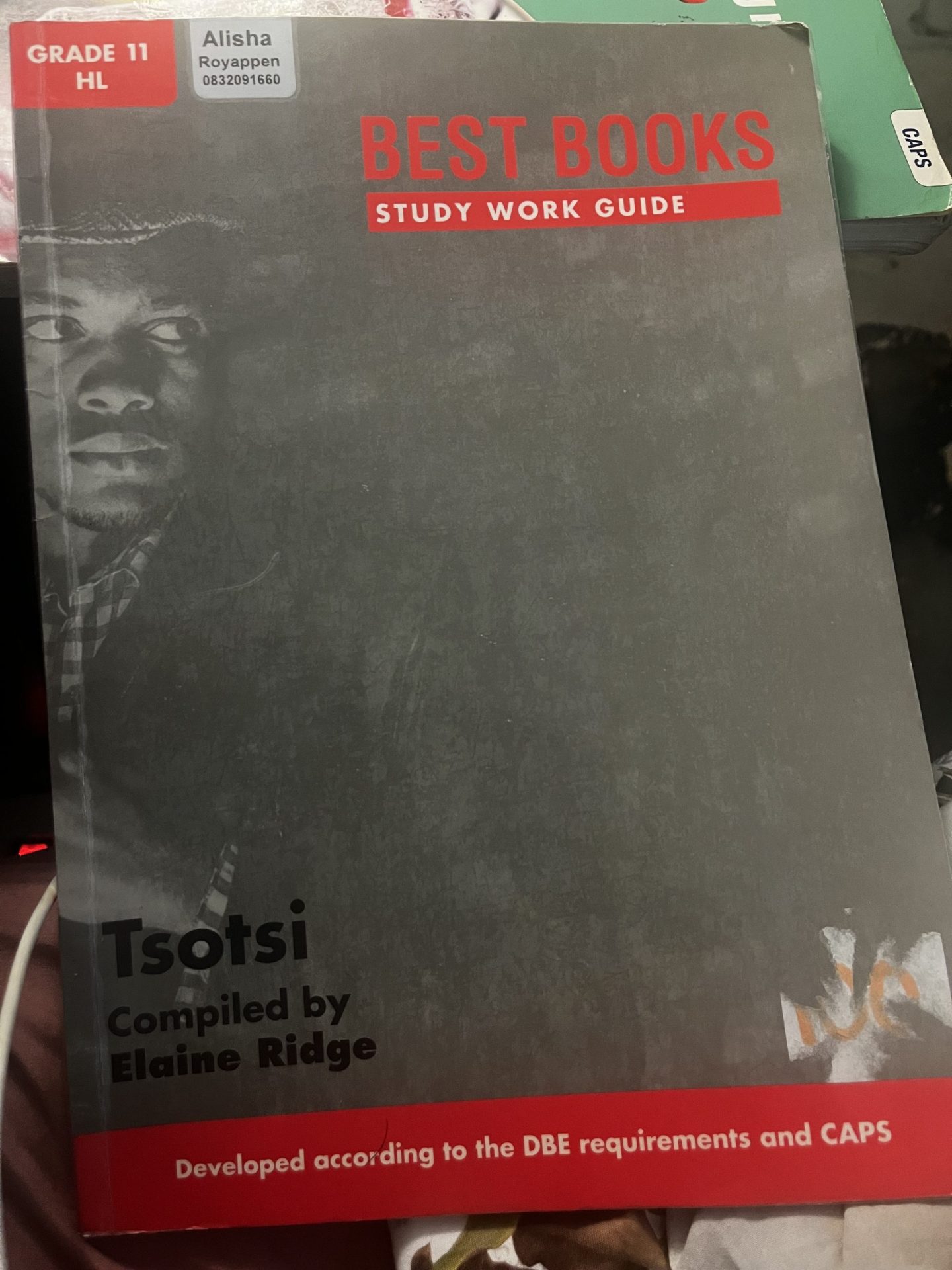 IMG_4724 Study Work Guide: Tsotsi Grade 11 Home Language