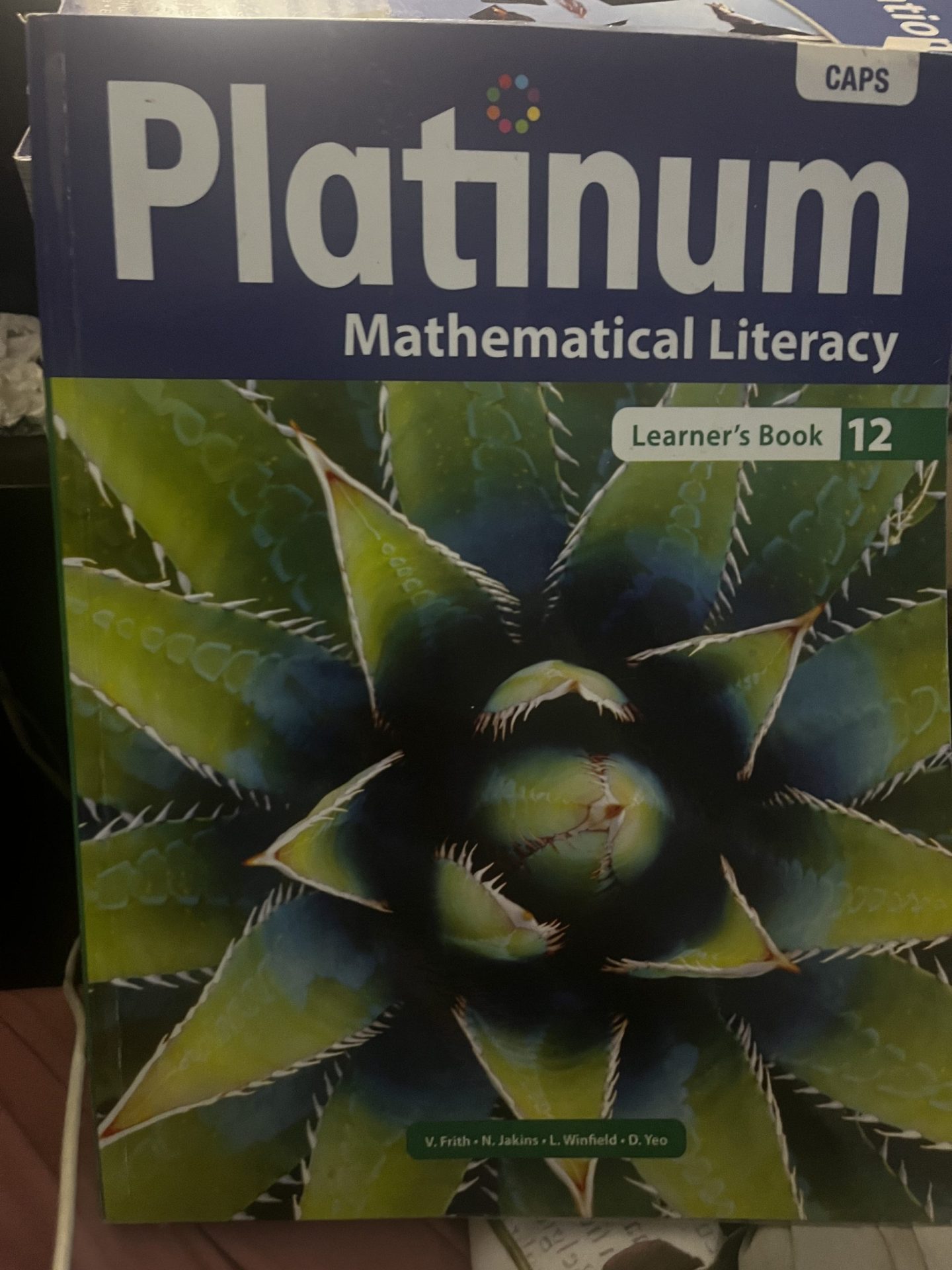 IMG_4733 Platinum Mathematical Literacy Grade 12