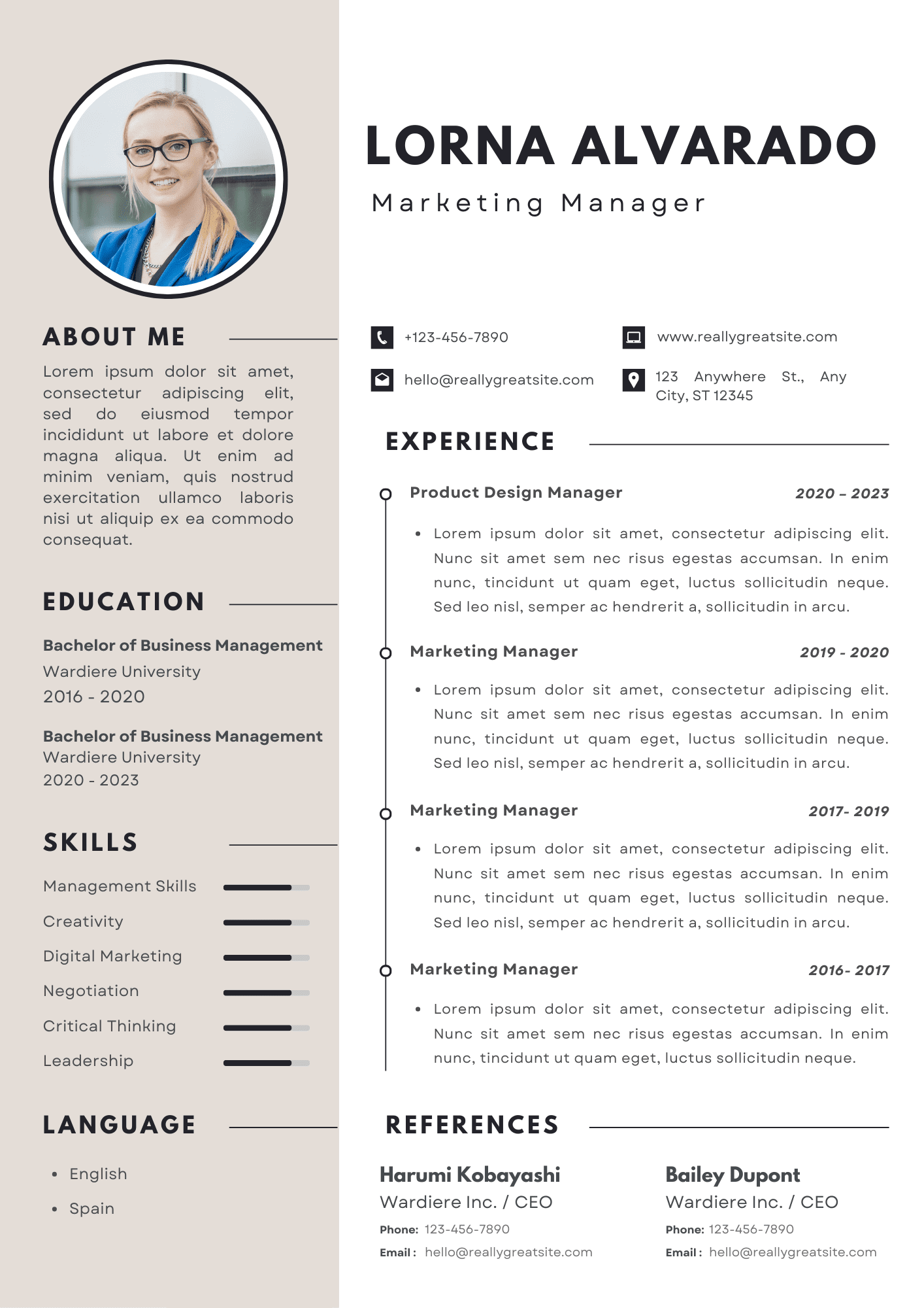 Professional Modern CV Resume Professional Modern CV Template