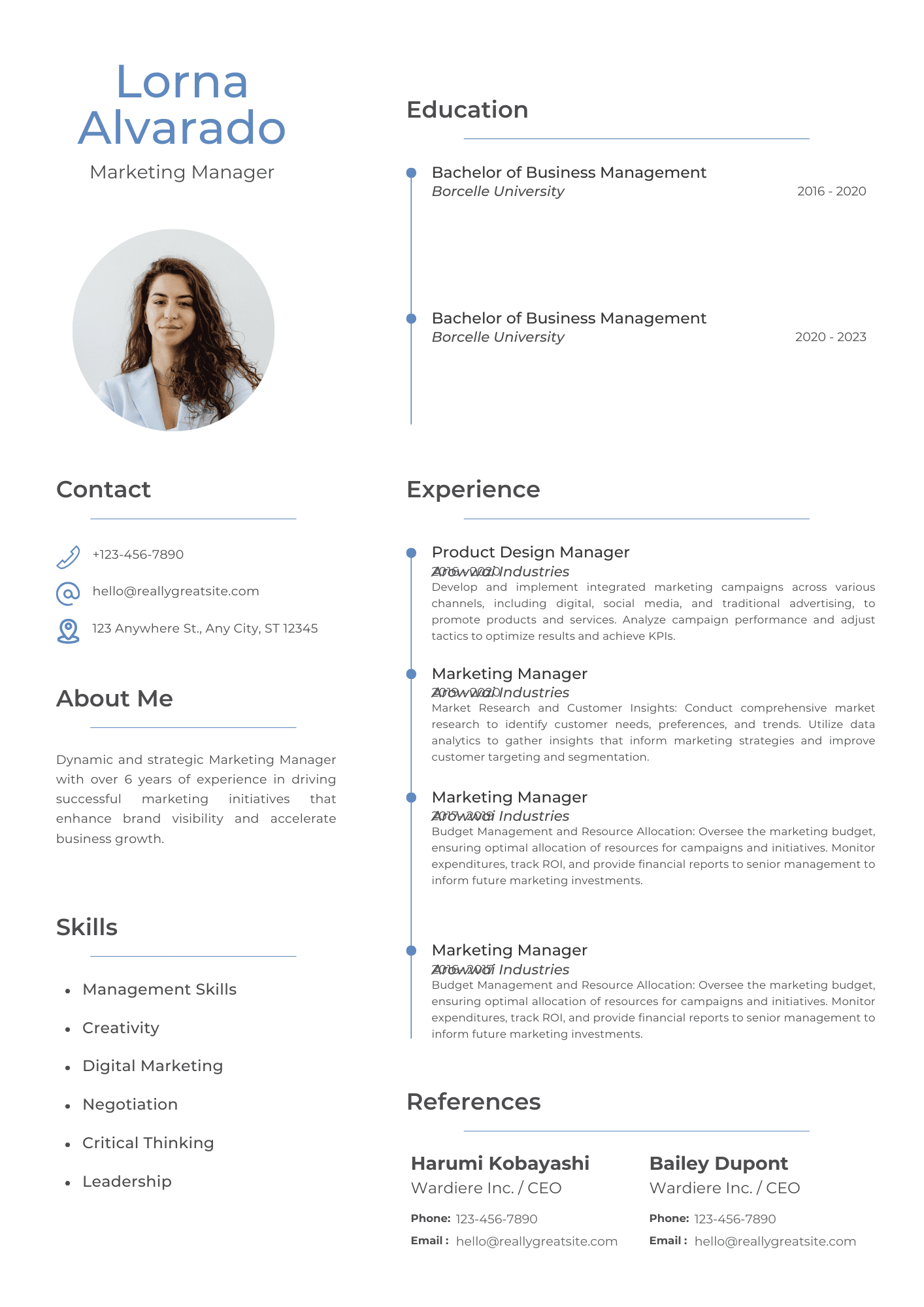 Professional Modern CV Resume Modern CV Resume Template