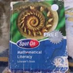 Mathematical Literacy: Spot On