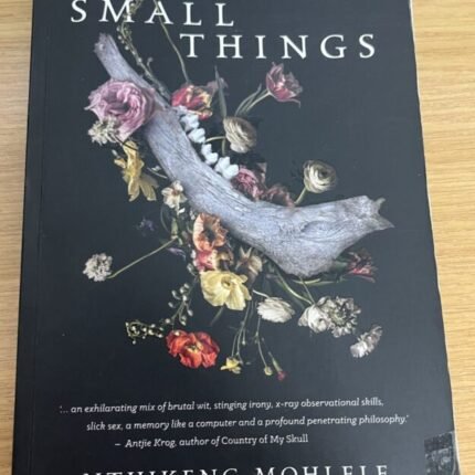 Small Things by Nthikeng Mohlele