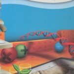 Mathematics Grade 4 Study Guide Book 2