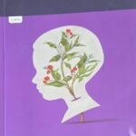 Life Orientation Grade 10 Study Guide (CAPS) – Excellent Condition