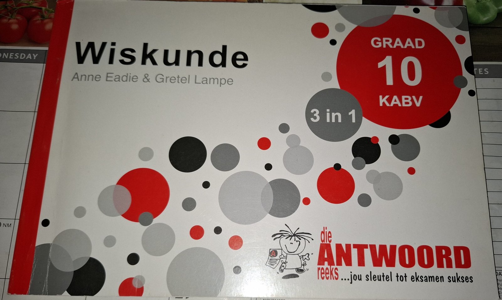 20260201_114236 Wiskunde Graad 10 KABV (die ANTWOORD reeks) - Image 1