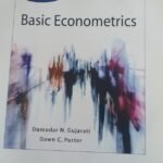 BASIC ECONOMETRICS