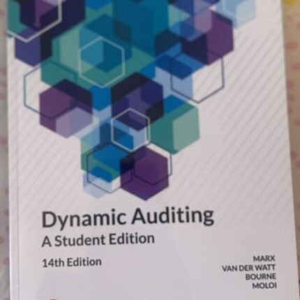 Dynamic Auditing
