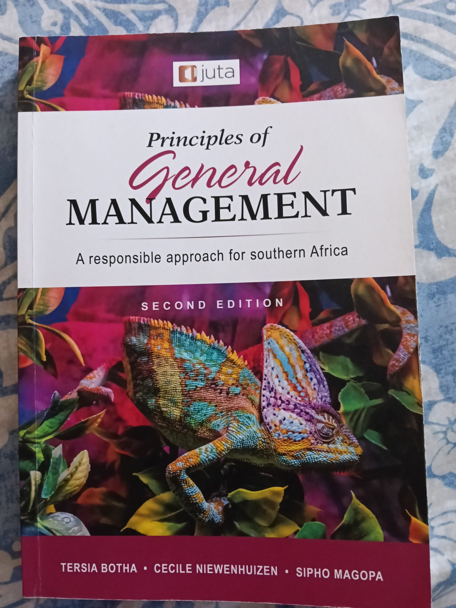 17853932633518649279105207117721 Principles of General Management – A Responsible Approach For Southern Africa Textbook