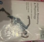 Human Anatomy & Physiology 978-1-292-42180-3