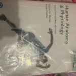 Human Anatomy & Physiology 978-1-292-42180-3
