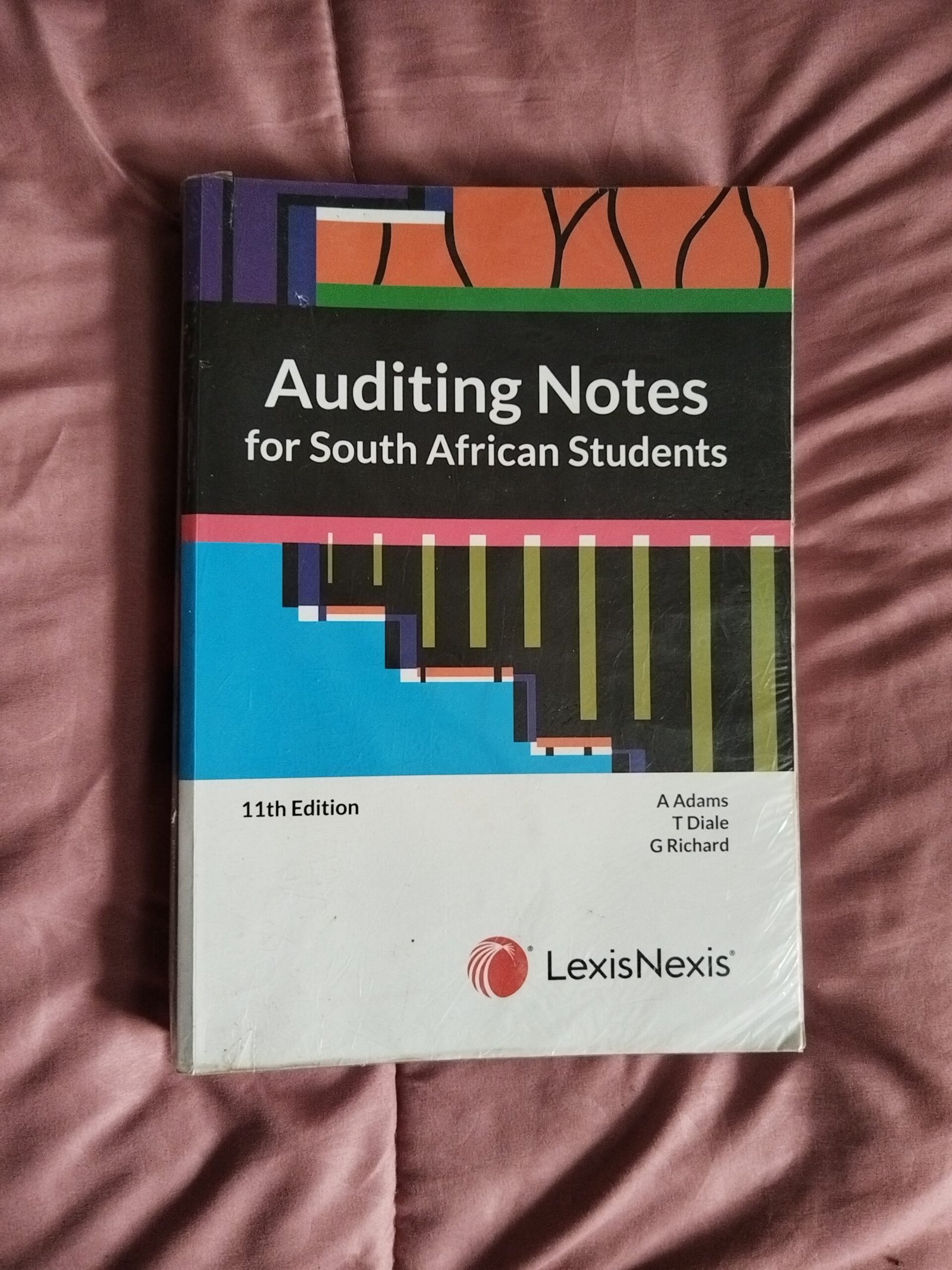 smart Auditing Notes for South African Students Textbook